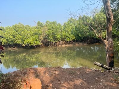 WhatsApp Image 2023-10-23 at 3.16.57 PM